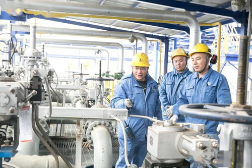 天津石化煉油產品結構調整及油品質量升級改造項目實現全面成功開車